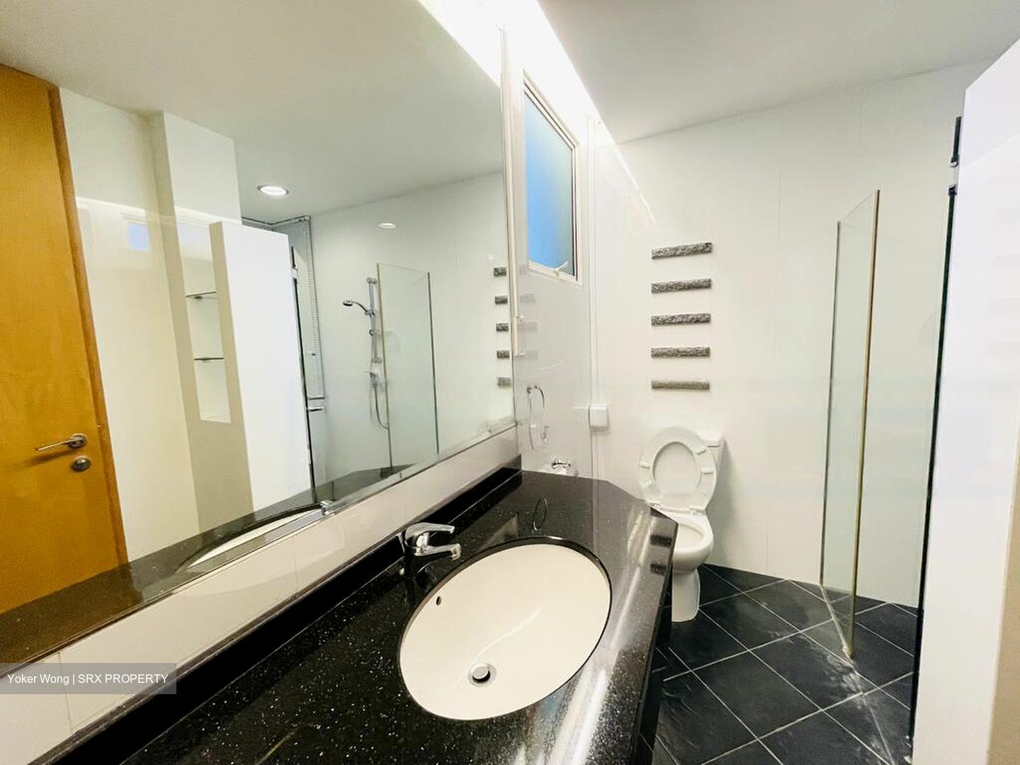 Holland Mansion (D10), Condominium #468529321